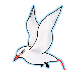 [LINEスタンプ] 日本の野鳥珍鳥迷鳥とか