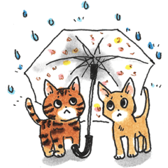 [LINEスタンプ] ベンガルとアビシニアン