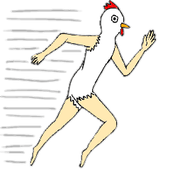 [LINEスタンプ] 美脚な鳥たちの画像（メイン）