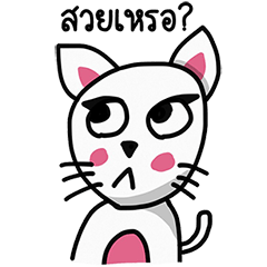 [LINEスタンプ] Cat Crazy Gangの画像（メイン）