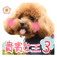 [LINEスタンプ] Poodle Queen3_a cute little girl