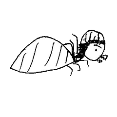 [LINEスタンプ] Soong's life