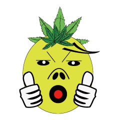 [LINEスタンプ] Bromeliad head boy 
