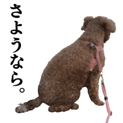[LINEスタンプ] ももたろう！