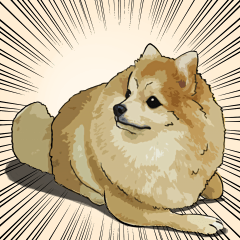 [LINEスタンプ] Nickey PomPom
