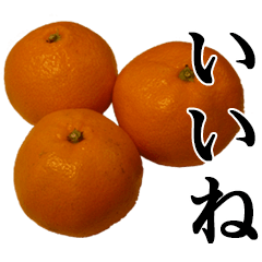 [LINEスタンプ] みかんですよ。