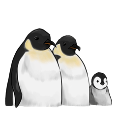 [LINEスタンプ] serious penguin