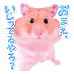 [LINEスタンプ] 関西弁★幸せのピンクハムスターの画像（メイン）