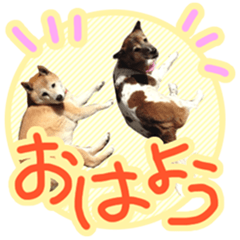 [LINEスタンプ] チロル＆モモ01