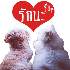 [LINEスタンプ] Tang＆Ty