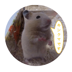 [LINEスタンプ] キンクマハムスターのしぐさ