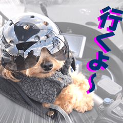 [LINEスタンプ] バイク犬、ティナ