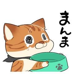 [LINEスタンプ] 我が名はニャー太郎！