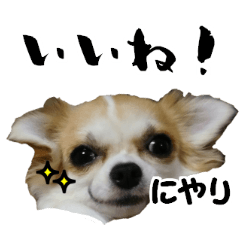 [LINEスタンプ] 凛スタンプ