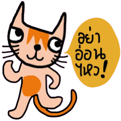 [LINEスタンプ] Little tiger, Sua noi (Sweet Cat)