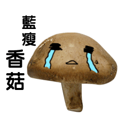 [LINEスタンプ] Suffering fungi