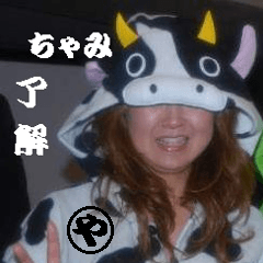 [LINEスタンプ] やしゅび了解スタンプ