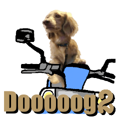 [LINEスタンプ] dooooog vol.2