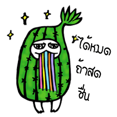 [LINEスタンプ] Cactus mascot