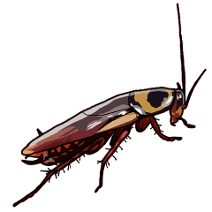 [LINEスタンプ] Amazing Cockroach (J)