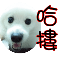 [LINEスタンプ] I'm Ma Ji