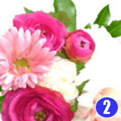 [LINEスタンプ] 花で挨拶、大人も使える感謝の花束（写真）