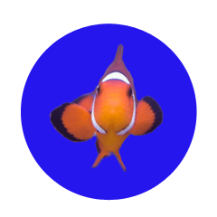 [LINEスタンプ] ゆかいな動物と魚たちのスタンプの画像（メイン）