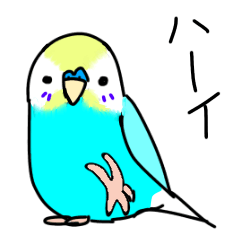 [LINEスタンプ] セキセイ＆ジャンボセキセイインコ