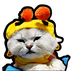 [LINEスタンプ] taro-S