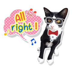 [LINEスタンプ] Gang Cat (ENG)