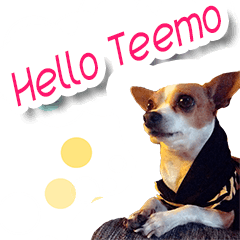 [LINEスタンプ] Teemo Ver.1 
