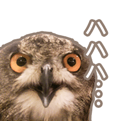 [LINEスタンプ] Qowl