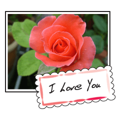 [LINEスタンプ] Greetings card with flowers photo