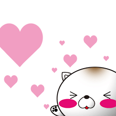 [LINEスタンプ] ねこ味のしらたま