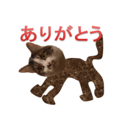 [LINEスタンプ] またたびUFOの猫スタンプ