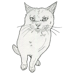 [LINEスタンプ] 愛猫家のためのモノクロ猫たち