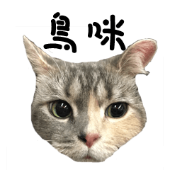 [LINEスタンプ] Nyami