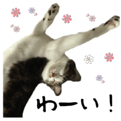 [LINEスタンプ] クゥとふく 5