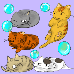 [LINEスタンプ] 私のちいさい世界