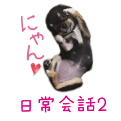 [LINEスタンプ] チワワのココ(日常会話2)