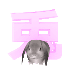 [LINEスタンプ] 動く うさぎのおたまさん ver1.0