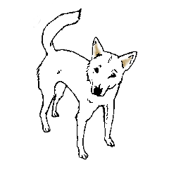 [LINEスタンプ] 博多の犬の画像（メイン）