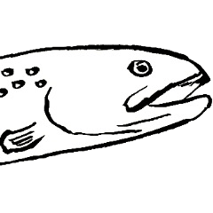 [LINEスタンプ] 川の魚たち3