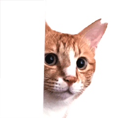 [LINEスタンプ] Buchounim