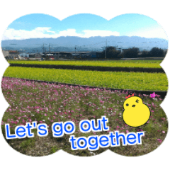 [LINEスタンプ] Practical greetings with life(English)の画像（メイン）
