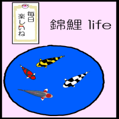 [LINEスタンプ] 錦鯉を楽しむ