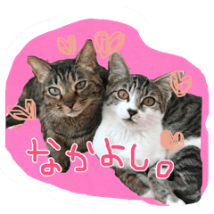 [LINEスタンプ] ごましおのきもち