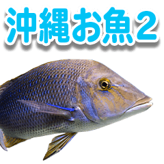 [LINEスタンプ] 沖縄お魚2