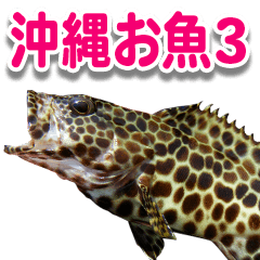 [LINEスタンプ] 沖縄お魚3