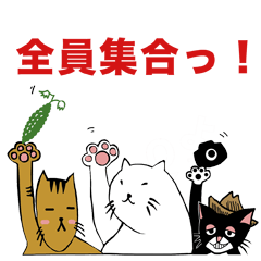 [LINEスタンプ] ギリネコワークス